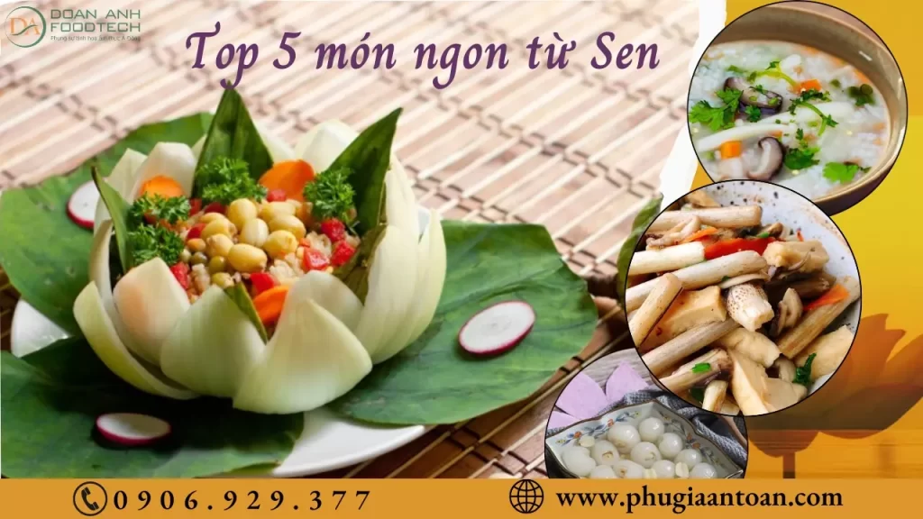 món từ củ sen, hạt sen, ngó sen