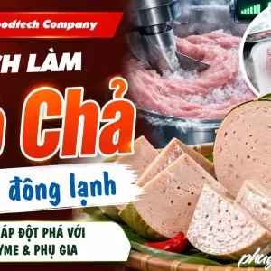 PHỤ GIA LÀM GIÒ CHẢ THỊT ĐÔNG LẠNH TẠO LIÊN KẾT VÀ CẤU TRÚC CHO THỊT 