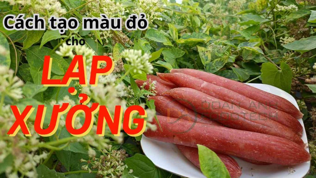 Màu đỏ của lạp xưởng là một điểm đặc trưng nổi bật và hấp dẫn của loại thực phẩm này. Được tạo nên từ sự kết hợp tinh tế của các nguyên liệu và quy trình chế biến đặc biệt. Quy trình chế biến cũng đóng vai trò quan trọng trong việc giữ cho màu đỏ của lạp xưởng không bị phai mờ sau khi nấu. Với những sản phẩm tạo màu đỏ an toàn và bắt mắt cho lạp xưởng từ nhà Đoàn Anh sẽ giúp cho cơ sở kinh doanh của bạn mang lại dấu ấn trong lòng khách hàng.