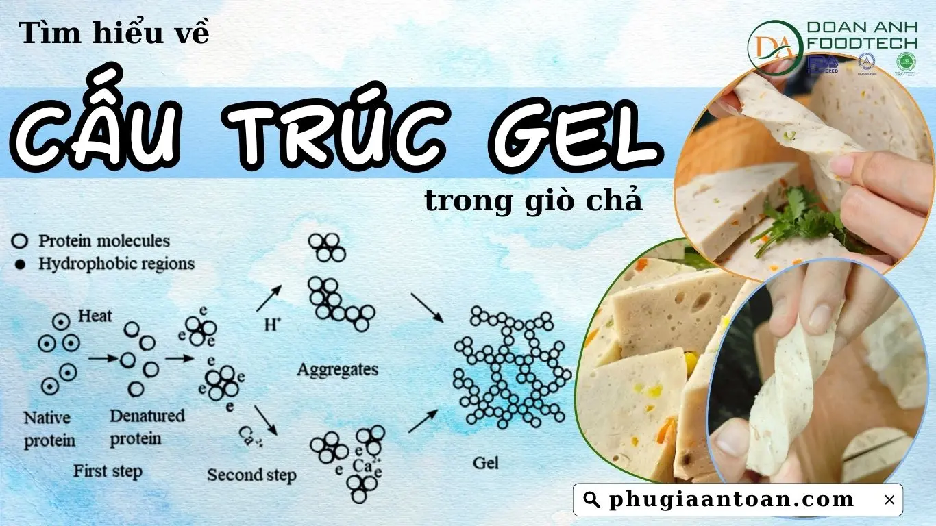 cấu trúc gel giò chả