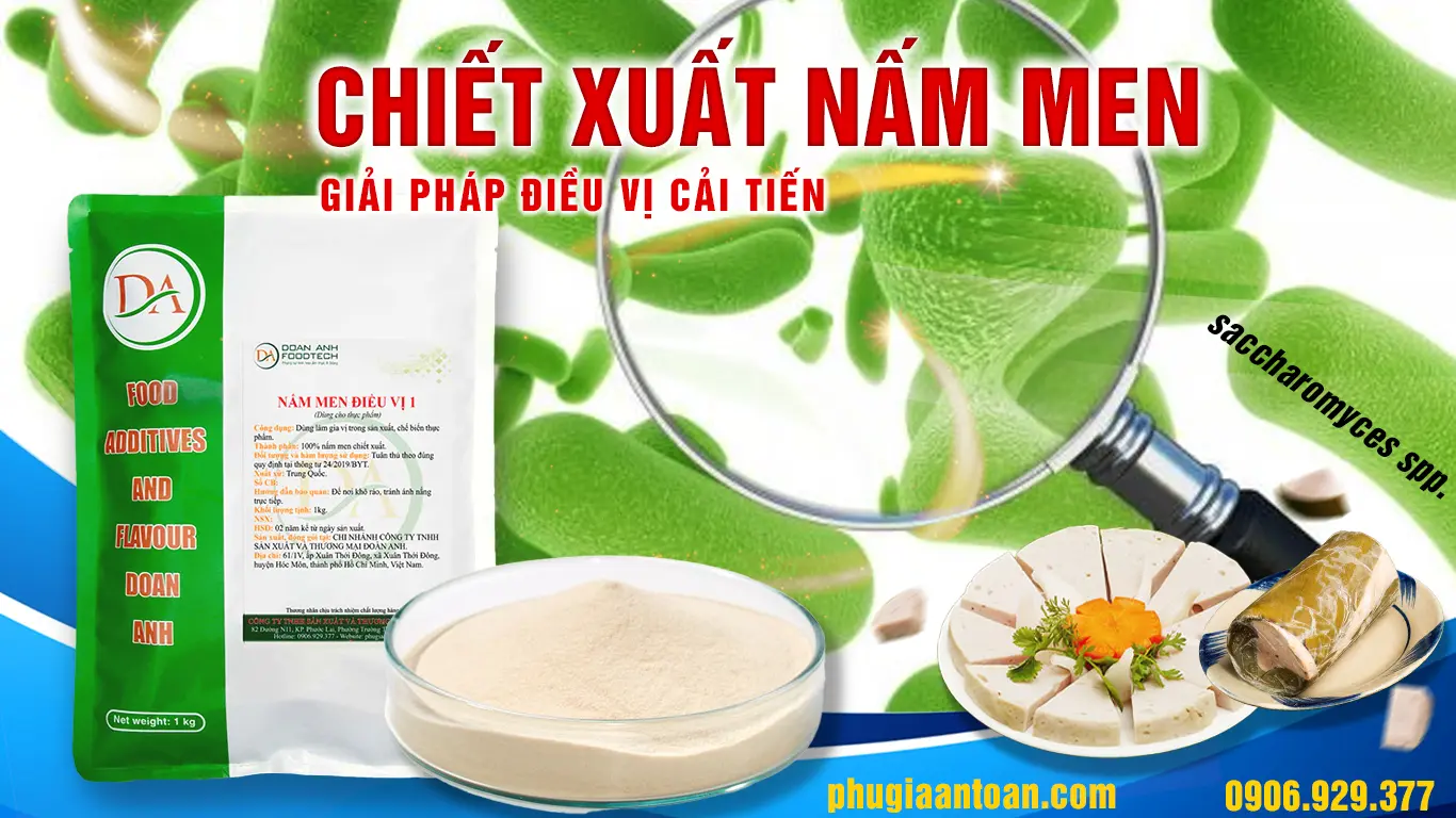 Chiết xuất nấm men yeast extract