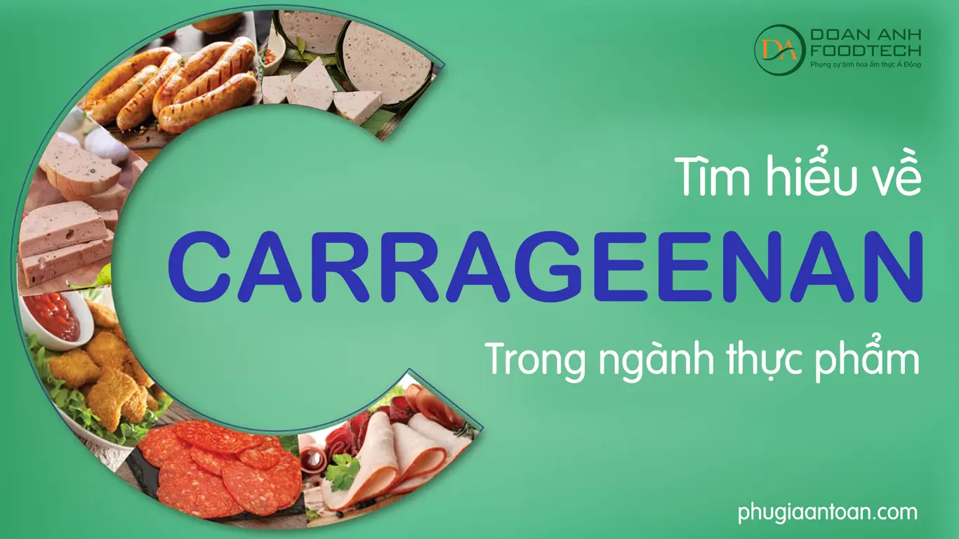 carrageenan ins 407