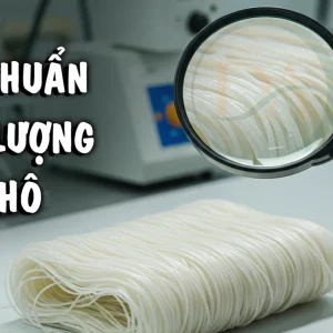 TIÊU CHUẨN BÚN KHÔ VIỆT NAM VÀ CÁC LƯU Ý QUAN TRỌNG KHI SỬ DỤNG PHỤ GIA TRONG SẢN XUẤT