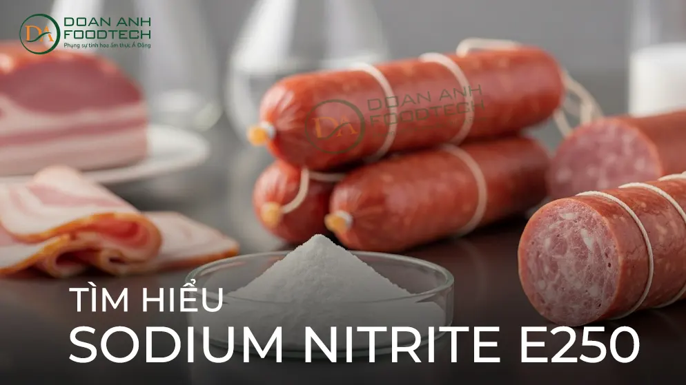 tìm hiểu về sodium nitrite e250