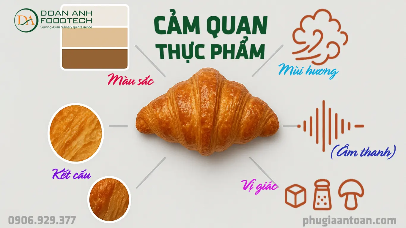 Cảm quan thực phẩm