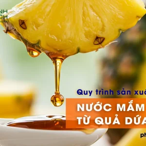 QUY TRÌNH SẢN XUẤT NƯỚC MẮM CHAY TỪ DỨA (THƠM)
