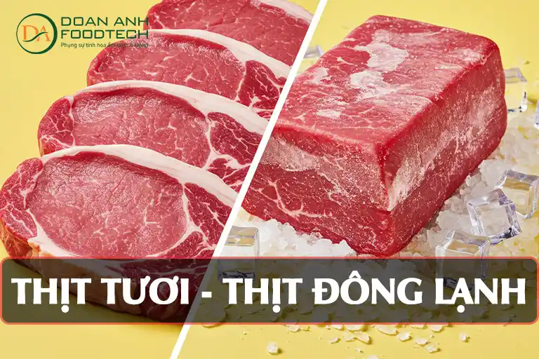 Công nghệ chế biến thịt tươi - thịt đông lạnh